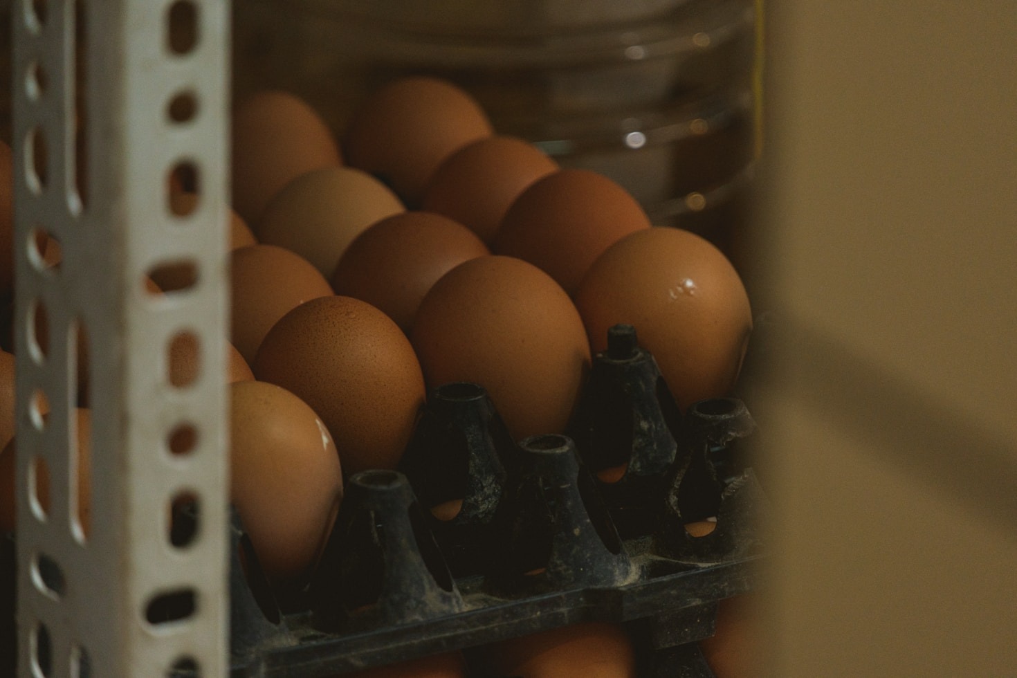 The Benefits of Bulk Egg Purchasing for Businesses